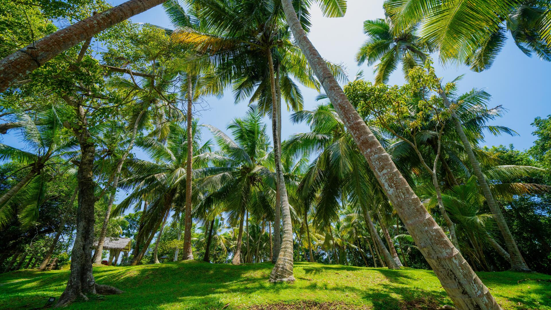 Spa and wellness treatments in tropical garden setting at Serendipity Lake Hikkaduwa