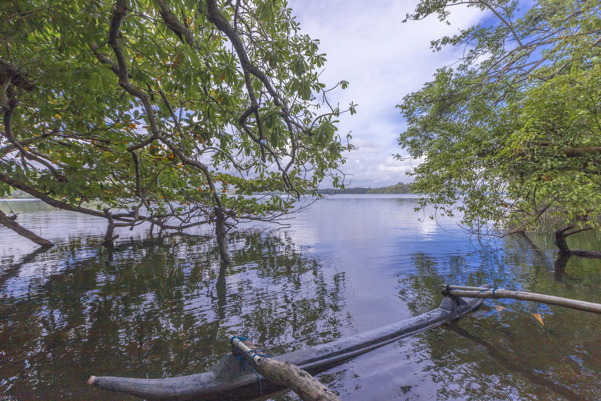 Kayaking and canoeing on Rathgama Lake near Serendipity Lake Hikkaduwa